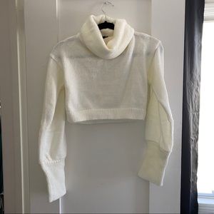 cropped turtle neck